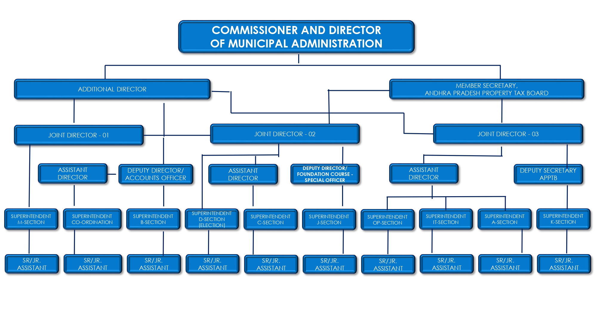 Organization Chart